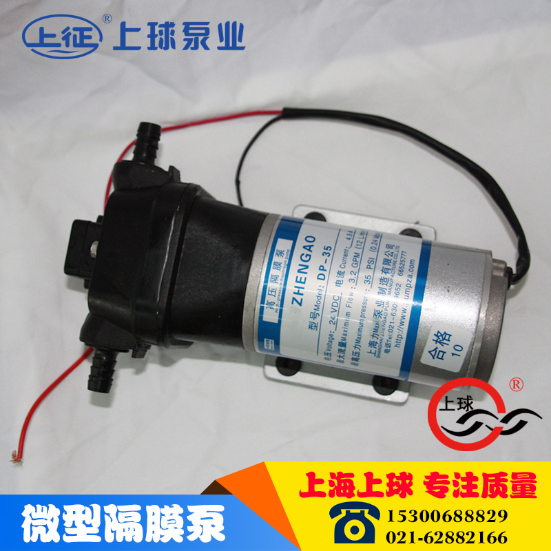DP微型電動隔膜泵